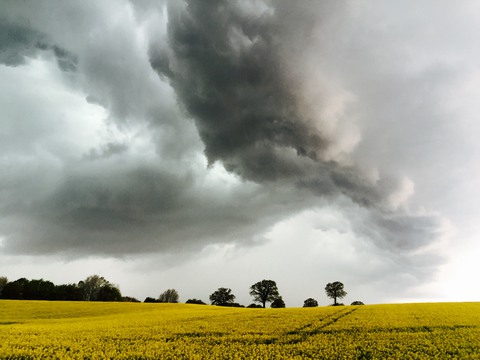 Galerie-Bild von  Hoff