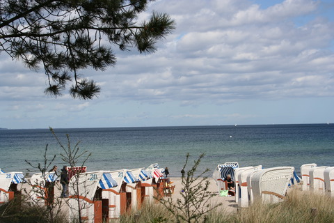 Galerie-Bild von Anne Vehres