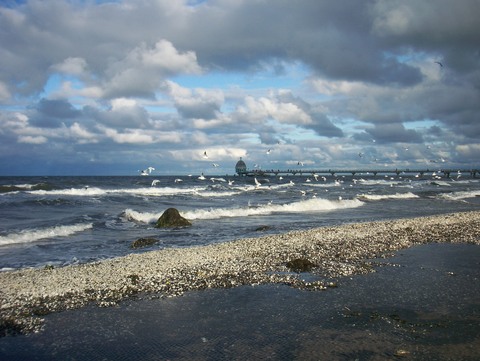 Galerie-Bild von Marina Nau