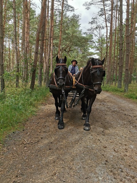 Galerie-Bild von Marina Nau