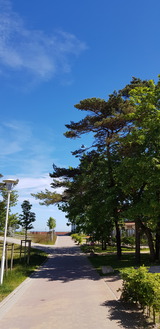 Ferienwohnung in Baabe - Sonnenblick - Weg von der Ferienresidenz zum Strand