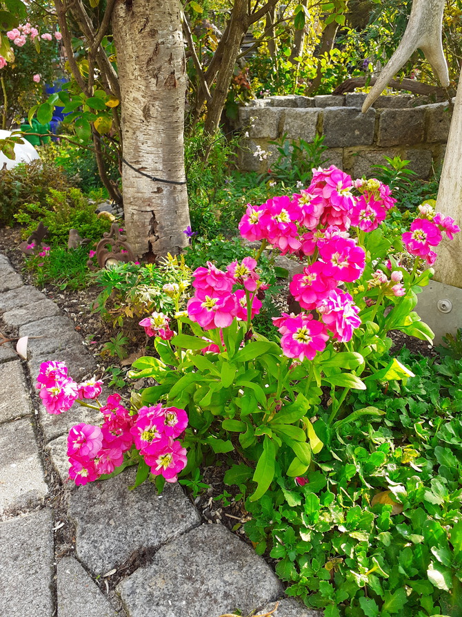 Ferienwohnung in L&uuml;tjenbrode - Residence Strandl&auml;ufer - Bild 24