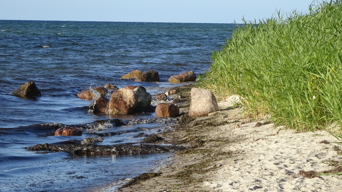 Ferienwohnung in Feldhusen - Diana Schöner Blick - Strand von Rosenhagen