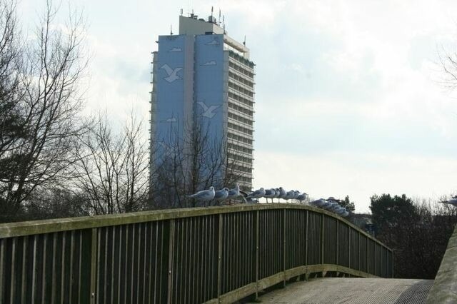 Ferienwohnung in Schönberg - Appartement K1213 - Bild 2