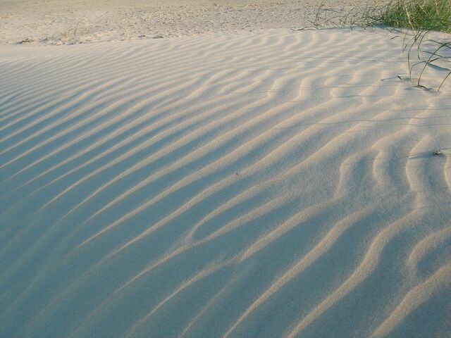 Ferienwohnung in Haffkrug - Lachmöwe - Bild 8 Ferienwohnung in Haffkrug - Lachmöwe - Bild 8