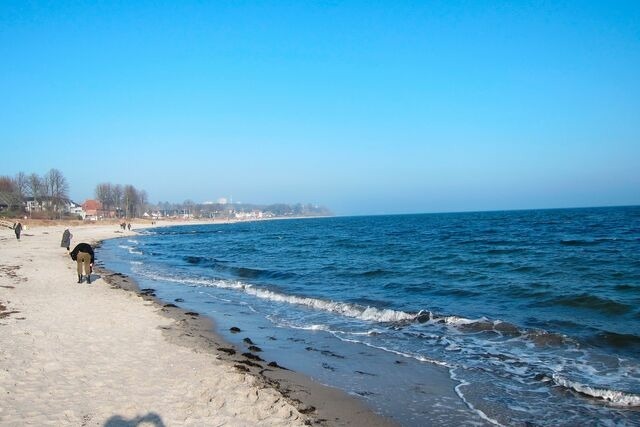 Ferienwohnung in Haffkrug - Lachmöwe - Bild 10 Ferienwohnung in Haffkrug - Lachmöwe - Bild 10