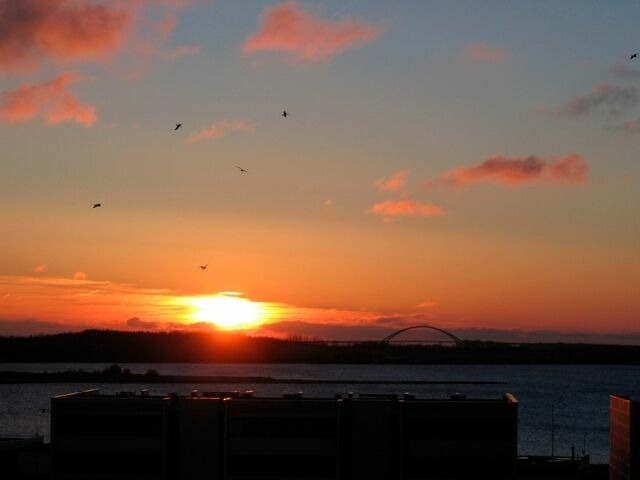 Ferienwohnung in Fehmarn OT Burgtiefe - S&uuml;dstrandwohnung Seiss "Grande" - Bild 17