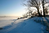 Ferienwohnung in Fehmarn OT Fehmarnsund - Ferienwohnung Fehmarnsund mit Gartenterrasse - Bild 14