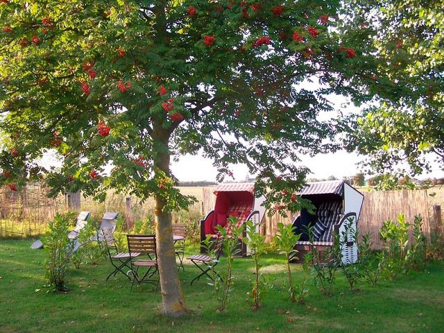 Ferienhaus in Fehmarn OT Neue Tiefe - Ferienhaus Nr. 7b - Bild 17