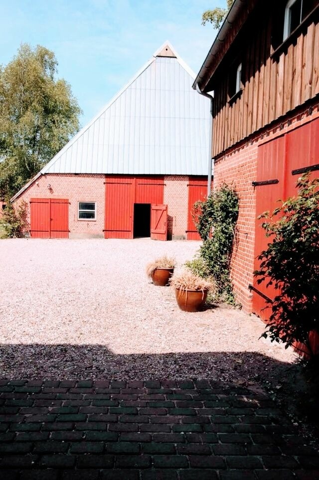 Ferienwohnung in Fehmarn OT Vadersdorf - RosenGärtchen - Bild 20