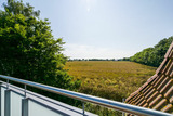 Ferienwohnung in Fehmarn OT Katharinenhof - Ferienhof Augustenh&ouml;he - Haus am Feld Nr.4 - Bild 11
