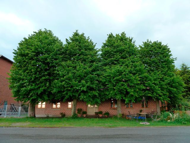 Ferienwohnung in Fehmarn OT Altenteil - Apfelhof Fehmarn - Bild 2