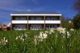 Ferienwohnung in Fehmarn OT Meeschendorf - Kleingarn - "Meeresblick" Nr. 6 - Bild 1