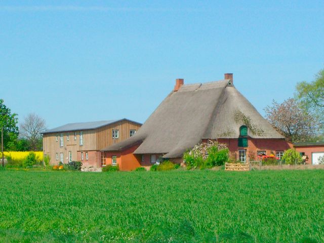 Ferienwohnung in Riepsdorf - "Hof Triangel - Whg. 2" - Bauernhofurlaub - Bild 22