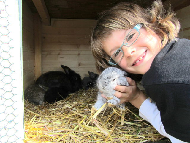 Ferienhaus in Gr&ouml;mitz - "Ferienhaus II - Hof Westensee" - Bild 22