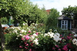 Ferienwohnung in Riepsdorf - "Rosenkate 1" - Bild 24