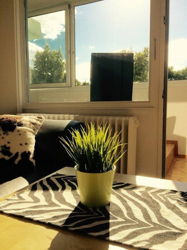 Ferienwohnung in Holm - Sachs, Gabriele: "Haus Schleswig", Ferienapp. (Nr. 247) - Bild 5 Ferienwohnung in Holm - Sachs, Gabriele: "Haus Schleswig", Ferienapp. (Nr. 247) - Bild 5