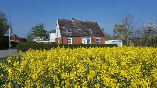 Ferienwohnung in Fehmarn OT Bannesdorf - Ferienhaus Am Feld, Whg. "Gerste" - Bild 3