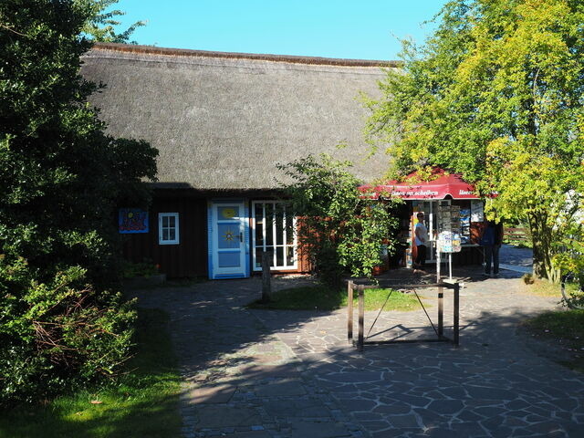 Ferienwohnung in Ostseeheilbad Zingst - Pirol FW 8, PP von Klosterstr. - Bild 18