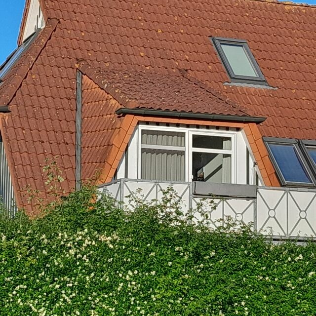 Ferienwohnung in Ostseeheilbad Zingst - Am Bodden, FW 8 - Bild 2