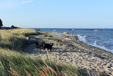 Ferienwohnung in Thiessow - Ferienwohnung Jack Russell - Bild 24