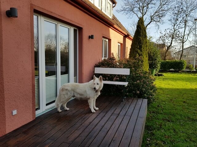 Ferienwohnung in Fehmarn OT Todendorf - Haus am Teich - Vogelflug - Bild 19