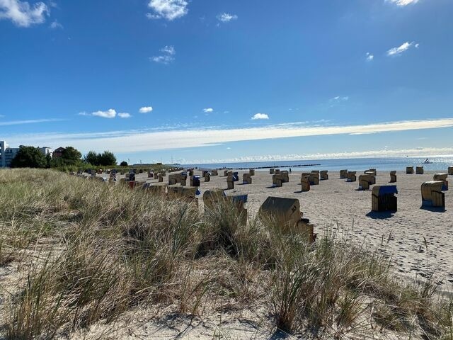 Ferienwohnung in Fehmarn OT Burgtiefe - Fewo Strandnixe - Bild 15