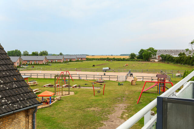 Ferienwohnung in Fehmarn - Ferienhof B&uuml;dlfarm - Nord Ost - Bild 8