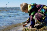 Ferienwohnung in Fehmarn - Knusthof Lafrenz - Nordlicht - Bild 14