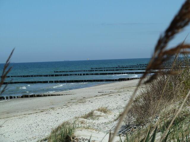 Ferienwohnung in Börgerende - Baltic Dreams - Residenz am Meer 08 - Bild 12