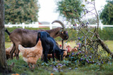 Ferienwohnung in Klaustorf - Heimathafen (Whg. 2) - Bild 9