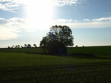 Ferienwohnung in Klaustorf - Heimathafen (Whg. 2) - Bild 20