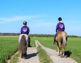 Ferienwohnung in Fehmarn OT Gammendorf - "Ferienhof Seelust" Ferienwohnung Lerche - Bild 5 Ferienwohnung in Fehmarn OT Gammendorf - "Ferienhof Seelust" Ferienwohnung Lerche - Bild 5