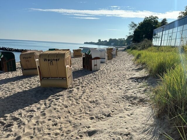 Ferienwohnung in Niendorf/Ostsee - Ostseeapartment Allee Strandpark - Bild 16