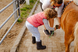 Ferienhaus in Fehmarn OT Staberdorf - Alte Schule 6 - Bild 24