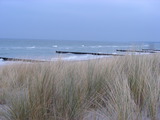 Ferienwohnung in Wieck a. Darß - Aalreuse 2 - Strandhafer mit Holzbuhnen