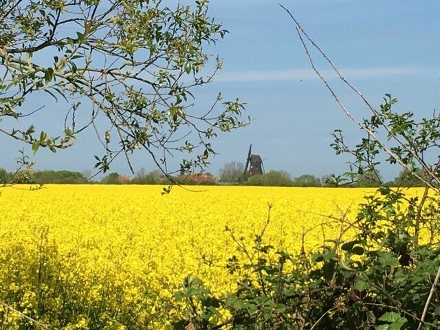 Ferienwohnung in Fehmarn OT Lemkenhafen - FeWo am Dorfteich - Bild 21