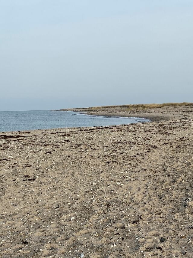 Ferienwohnung in Fehmarn - Ferienwohnung Nord - Bild 14 Ferienwohnung in Fehmarn - Ferienwohnung Nord - Bild 14