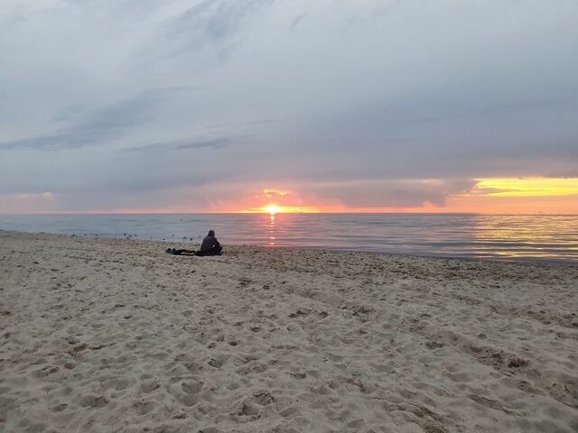 Ferienwohnung in Ribnitz-Damgarten - Ferienhof SchilfMeer - Fewo "Seepferdchen" - Bild 23 Ferienwohnung in Ribnitz-Damgarten - Ferienhof SchilfMeer - Fewo "Seepferdchen" - Bild 23