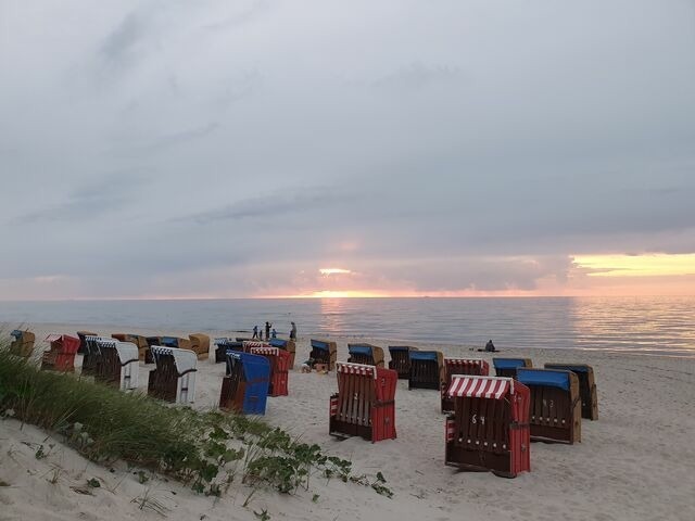 Ferienwohnung in Ribnitz-Damgarten - Ferienhof SchilfMeer - Fewo "Seepferdchen" - Bild 24 Ferienwohnung in Ribnitz-Damgarten - Ferienhof SchilfMeer - Fewo "Seepferdchen" - Bild 24