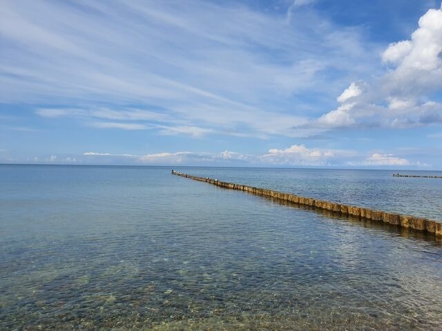 Ferienwohnung in Ribnitz-Damgarten - Ferienhof SchilfMeer - Fewo "Seepferdchen" - Bild 25 Ferienwohnung in Ribnitz-Damgarten - Ferienhof SchilfMeer - Fewo "Seepferdchen" - Bild 25
