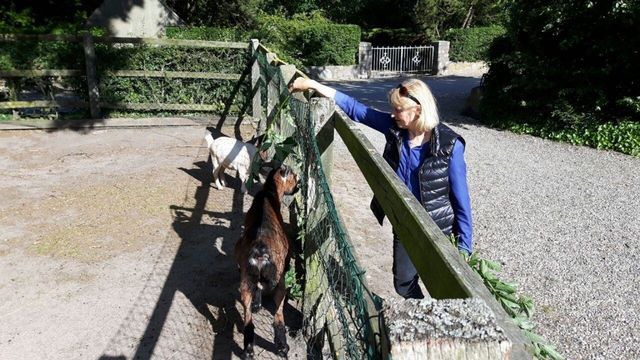 Ferienwohnung in Fehmarn OT Sahrensdorf - Ferienwohnung "Buschwindröschen" im Ferienhaus Nielson in Petersdorf - Bild 22