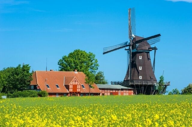 Ferienwohnung in Fehmarn OT Vitzdorf - Ferienwohnung Kaminstube - Bild 9