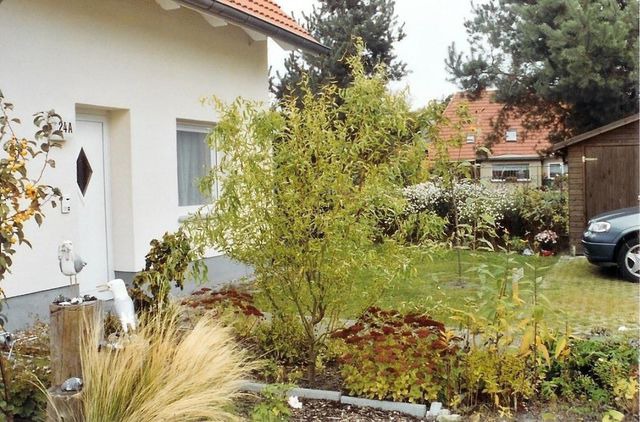 Ferienwohnung in Ostseeheilbad Zingst - Ferienwohnung M&ouml;we - Bild 5