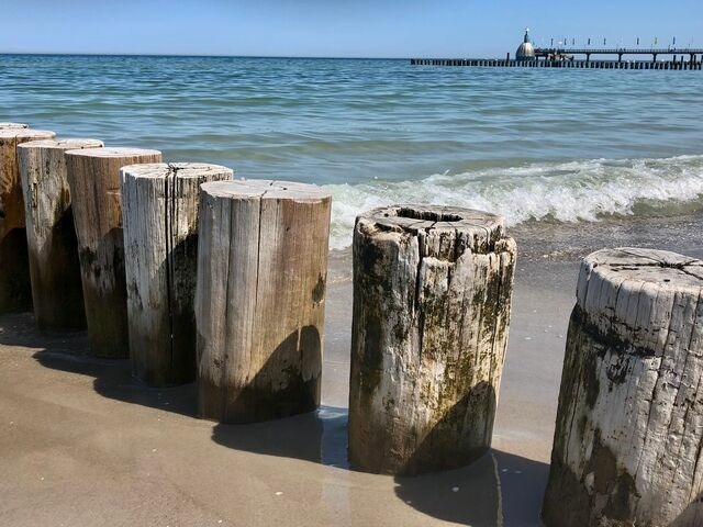 Ferienwohnung in Zingst - Meerzeit - Bild 16