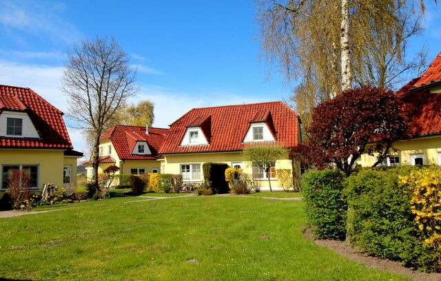 Ferienwohnung in Ostseeheilbad Zingst - Haus hinter der D&uuml;ne - Bild 8