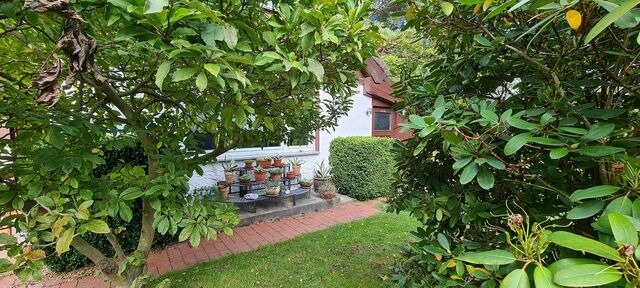 Ferienhaus in Dierhagen - Fischlandhus - Bild 2