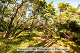 Ferienwohnung in Dierhagen - Meereslust OG 3R - Bild 18