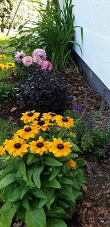 Ferienwohnung in Ostseeheilbad Zingst - Strandm&ouml;we 1 - Bild 10