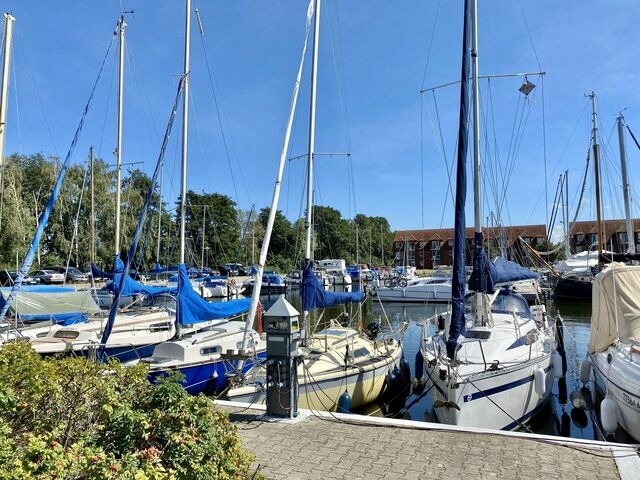 Ferienwohnung in Ueckermünde - Lagunenstadt am Haff Fewo 158 - Back - Bild 16